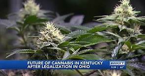 WATCH | Looking at the impact Ohio’s marijuana law has on Kentucky