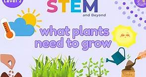 What Plants Need To Grow | KS1 Science Year 2 STEM Summer Camp