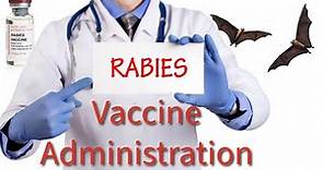 Rabies Vaccination: What You Need to Know