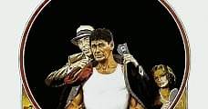 El peleador callejero (1975) Online - Película Completa en Español - FULLTV
