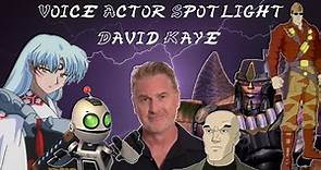 Voice Actor Spotlight - David Kaye