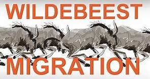 The Wildebeest Migration: An Animation