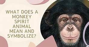 What Does a Monkey Spirit Animal Mean and Symbolize?