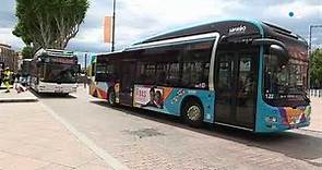 Débat sur la gratuité des bus dans l'agglomération de Perpignan