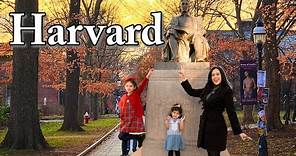 Dentro de Harvard: un vistazo al prestigioso paraíso académico
