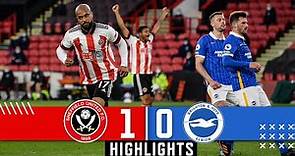 Sheffield United 1-0 Brighton & Hove Albion | Premier League Highlights | McGoldrick downs Seagulls
