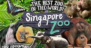 SINGAPORE ZOO TOUR: THE BEST ZOO IN THE WORLD?