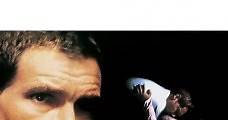 Presunto inocente (1990) Online - Película Completa en Español - FULLTV