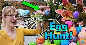 Having an Easter Egg Hunt in the Zoo!