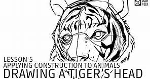 Drawabox Lesson 5: Drawing a Tiger's Head