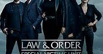 Law & Order: Special Victims Unit: Season 24 Episode 10 Jumped In