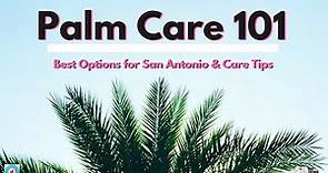 Palm Care 101