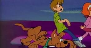 A Pup Named Scooby Doo The Complete Series