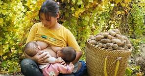 Single mother raising two children, Harvest yams goes to the market sell, Daily life of a single mom