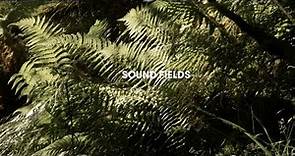 Sound Fields: Adventures in contemporary field recording