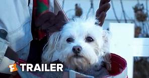 Charlie's Christmas Wish Trailer #1 (2020) | Fandango Family