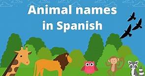 Learn Animal Names in Spanish. Learn Spanish Vocabulary.