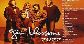 Gin Blossoms Top Hits All Time- Gin Blossoms Greatest Hits Full Album