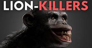 The Truth about Bondo / Bili Apes