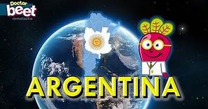 🇦🇷 ARGENTINA MAPA | Paises y Banderas del Mundo