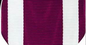 Meritorious Service Medal | Medals of America