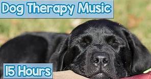 PET MUSIC THERAPY for Dogs, Natural Remedy to Anxiety and Loneliness. De-Stress and Relax Dogs!