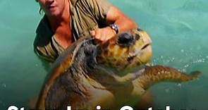 Steve Irwin Catches A Huge Turtle - The Crocodile Hunter