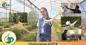 ICA UABC - Ciencia Cimarrón