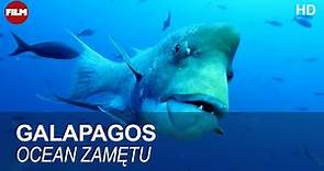 Ocean Zamętu | Galapagos - Na Krańcu Świata | Część 2 | Dzika Natura | Film Przyrodniczy | Za Darmo