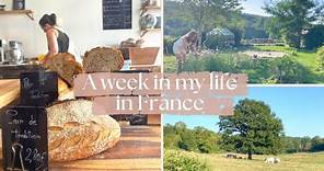 A week in my life in France