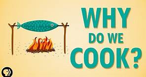 Why Do We Cook?