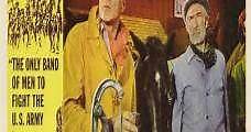 El renacer de Texas (1963) Online - Película Completa en Español - FULLTV