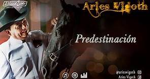 Predestinación | @Aries Vigoth (Video Lyric Oficial)
