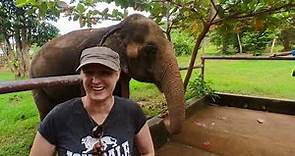 Must do in Koh Samui - Samui Elephant Sanctuary