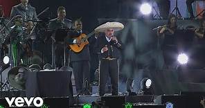 Vicente Fernández - México Lindo y Querido (En Vivo)[Un Azteca en el Azteca]