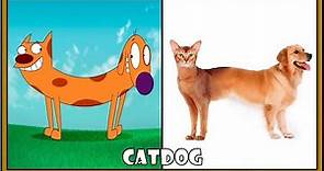 Cat dog all characters in real life.