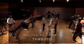 Música de cámara México - Tambuco Ensamble de Percusiones de México