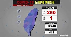 COVID-19 新冠病毒台灣疫情 本土增250例 累計死亡411例｜2021/6/12 確診案例縣市分布圖