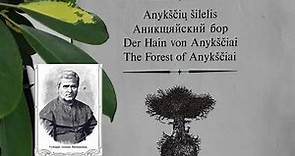 Book Trailer: The Forest of Anykščiai - Antanas Baranauskas