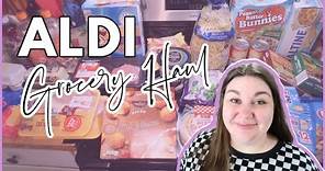 WEEKLY ALDI HAUL | Meal Plan & Grocery Haul | APRIL 2024