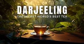 Darjeeling Tea: The SECRET Journey Of World's Best Tea From India!
