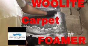WOOLITE Foam Carpet Cleaner!! Is it a must!?!? Or a BUST!!!
