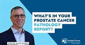 What's in your prostate cancer pathology report? - Dr. David Berman