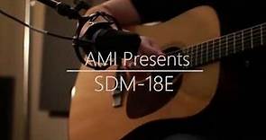 AMI Guitars Model SDM-18E
