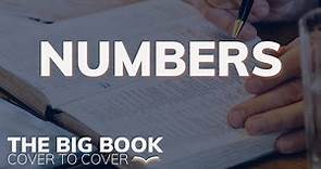 The Book of Numbers EXPLAINED