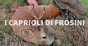 CACCIA AL CAPRIOLO IN TOSCANA - ROE DEER HUNTING IN TUSCANY