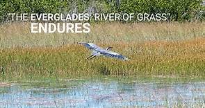 "The Everglades: River of Grass" Endures