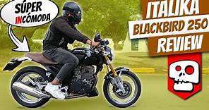 Italika Blackbird 250 Review | Muy bonita pero ¿Vale la pena? | Alets Go
