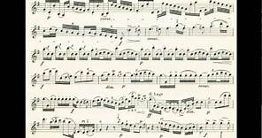 Haydn, Joseph 4th violin concerto in G-dur