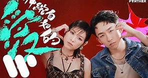 陳蕾 Panther Chan - 伸縮自如的愛 Bungee Gum (Official Music Video)